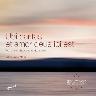 Ubi caritas et amor deus ibi est by Sonat Vox