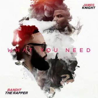 What You Need by Bandit The Rapper