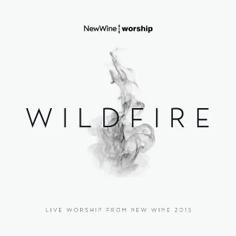 Wildfire (Live Worship From New Wine 2015) by New Wine Worship