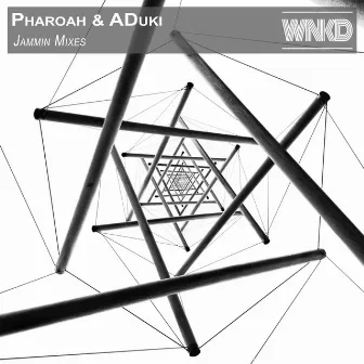 Jammin Mixes by Pharoah