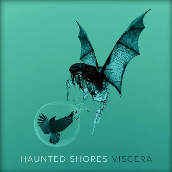 Viscera by Haunted Shores