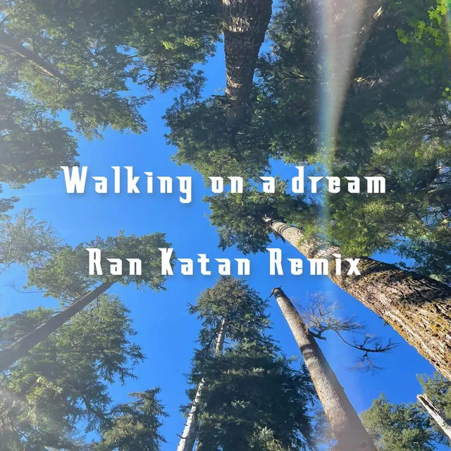 Walking On a Dream - Remix