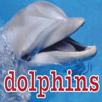 Dolphin Sounds by Dolphins