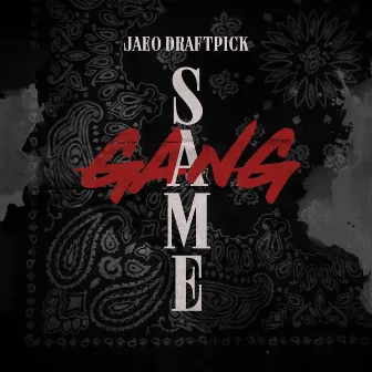 Same Gang by Jaeo Draftpick