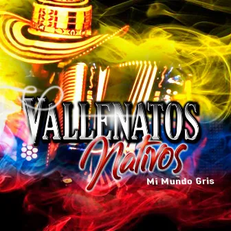 Mi Mundo Gris by Vallenatos Nativos