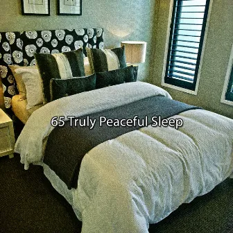 65 Truly Peaceful Sleep by Total Relax Zone