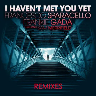 I Haven't Met You Yet (Remixes) by Frankie Gada