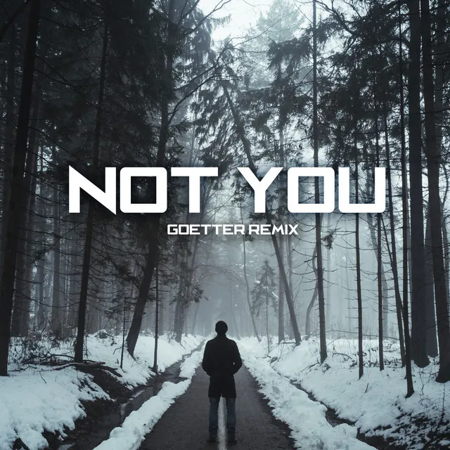 Not You - Remix