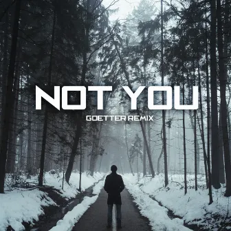 Not You (Remix) by Goetter