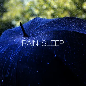 Rain Sleep by Rain Sleep