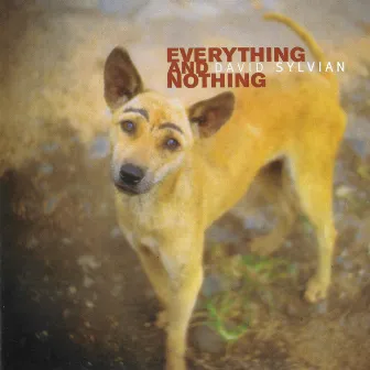 Everything & Nothing by David Sylvian