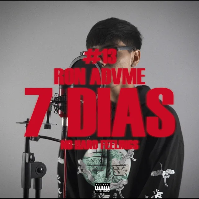 7 Días #13