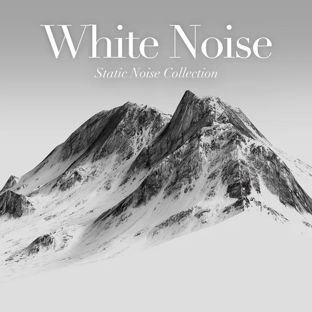 White Noise (Static Noise Collection)