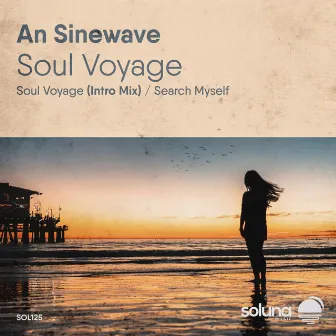 Soul Voyage by An Sinewave