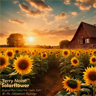 Solarflower by Terry Noise