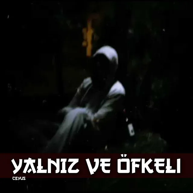 Yalnız ve Öfkeli