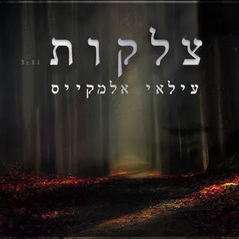 צלקות - קאבר by Ilay Elmakys