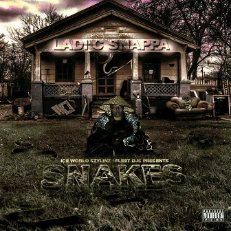 Snakes by C Snappa