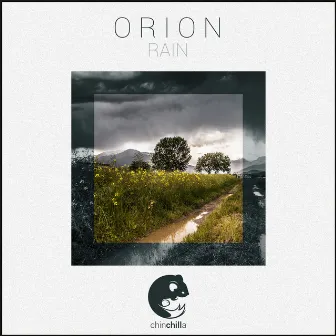 Rain by O R I O N