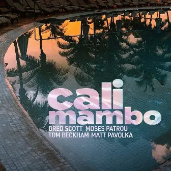 Cali Mambo by Dred Scott Trio