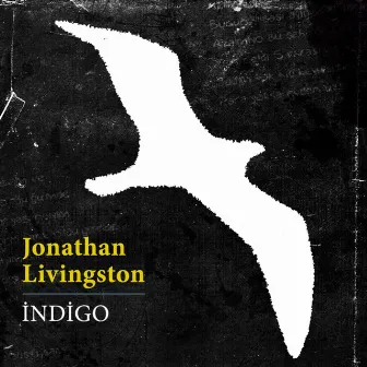 Jonathan Livingston by İndigo