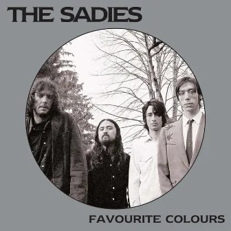 Favourite Colours by The Sadies