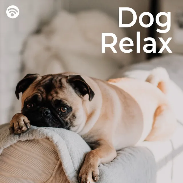 Dog Relax