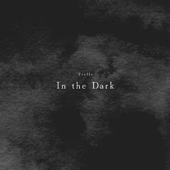 In the Dark by Tielle