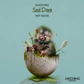 Hot Sauce by Soul Data