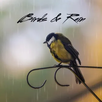 Birds & Rain by Mind & Body