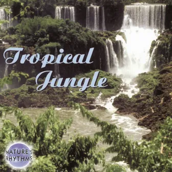 Tropical Jungle by Columbia River Group Entertainment