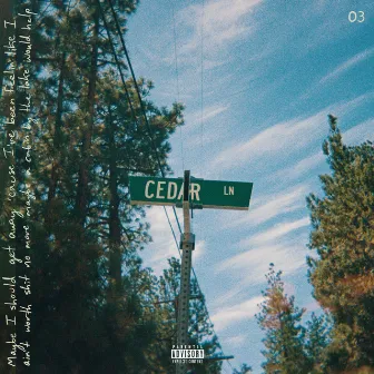 cedar lane by Austin Harms