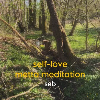 self-love metta meditation by Seb