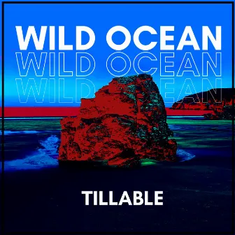 Wild Ocean by Tillable