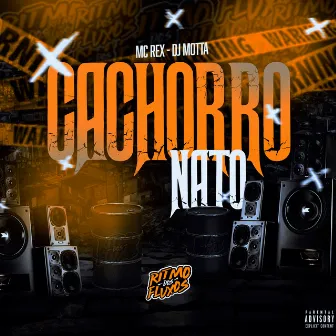 Cachorro Nato by Mc Rex