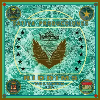 Riddims, Vol. 3 by Instrumental Reggae Riddims