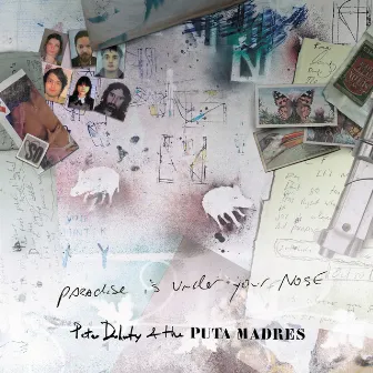 Paradise Is Under Your Nose (Radio Edit) by Peter Doherty