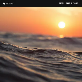 Feel the Love by Novah