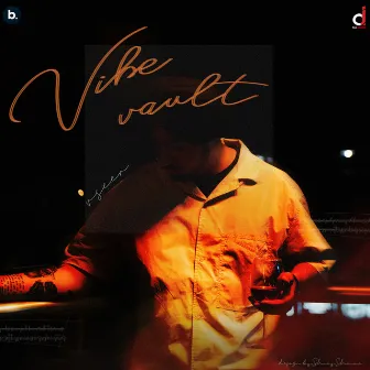 Vibe Vault by Vseer