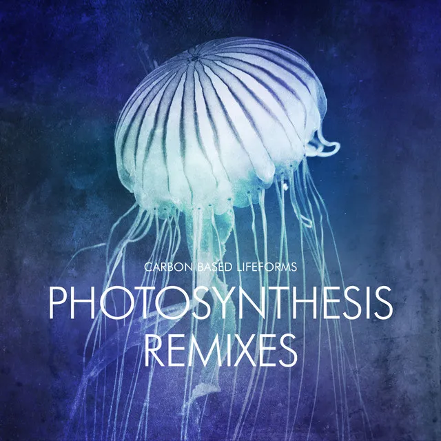 Photosynthesis (Solar Quest Remix)