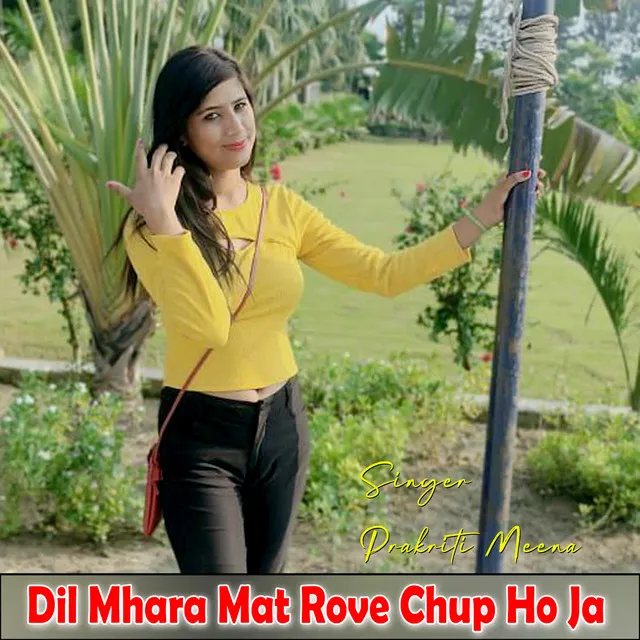 Dil Mhara Mat Rove Chup Ho Ja