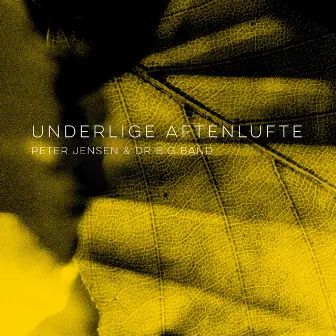 Underlige aftenlufte by Peter Jensen