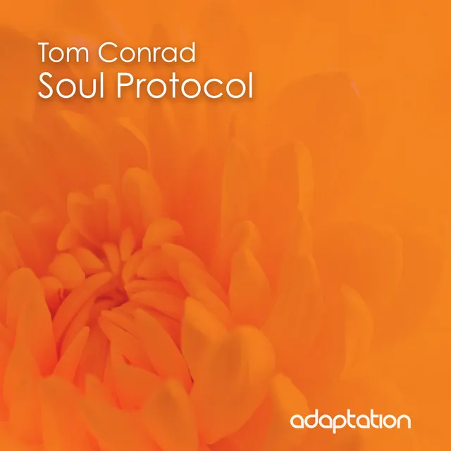 Soul Protocol