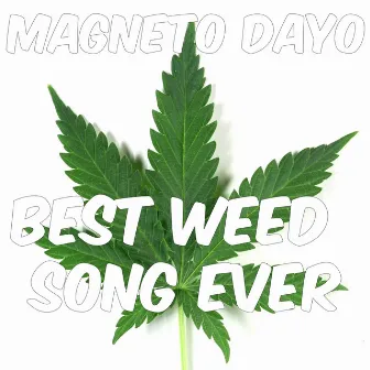 Best Weed Song Ever by Magneto Dayo