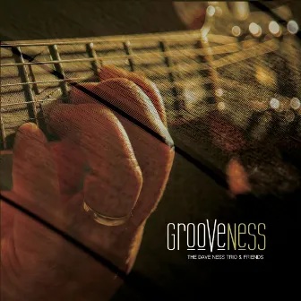 Grooveness by Dave Ness Trio