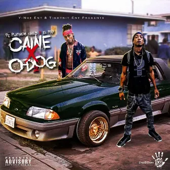 Caine X O-Dog II by PC Platinum Child