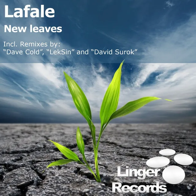 New leaves (David Surok Remix)