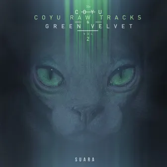 Coyu Raw Tracks Vol. 2 by Coyu