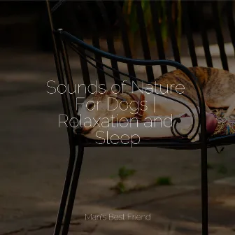 Sounds of Nature For Dogs | Relaxation and Sleep by Yoga