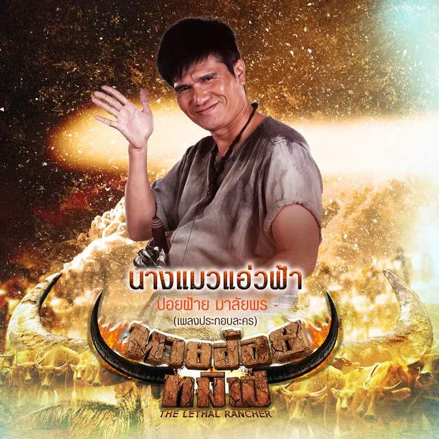 นางแมวแอ่วฟ้า (เพลงประกอบละคร นายฮ้อยทมิฬ) - Single